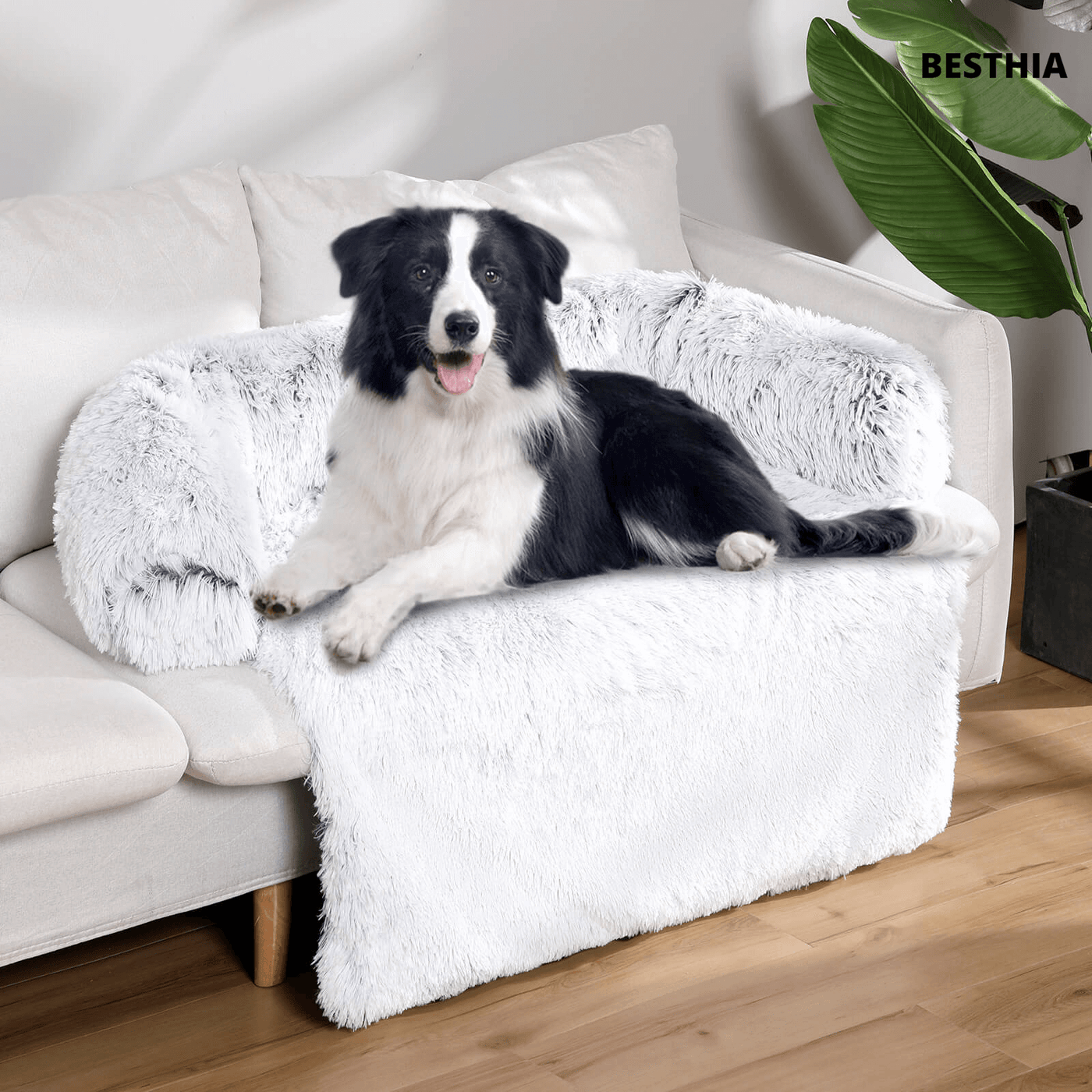 Smelgy - Calming Furniture Protector (New Edition)