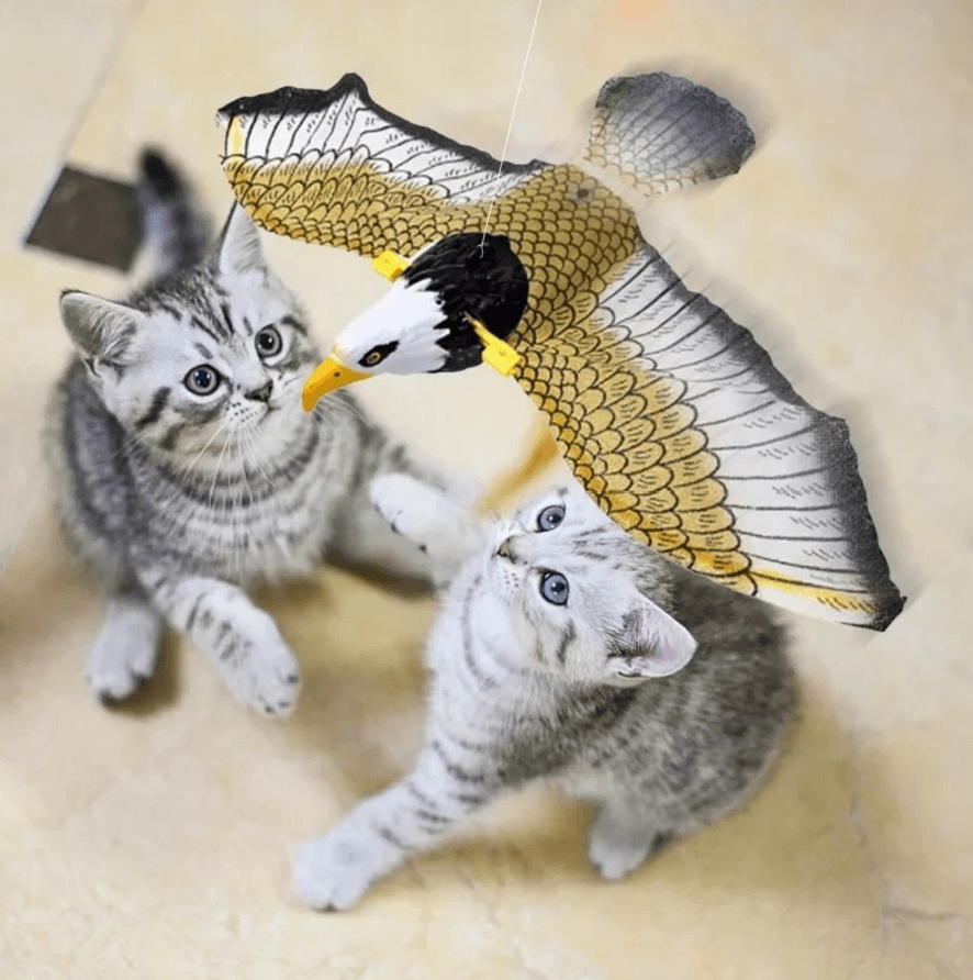 Flying Frenzy Interactive Cat Toy