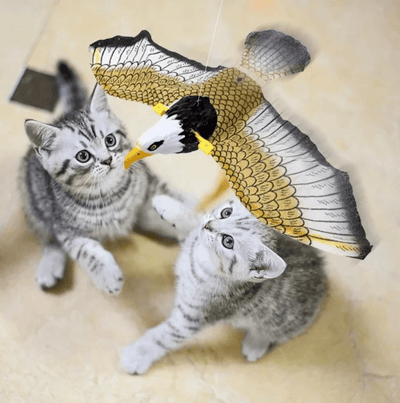 Flying Frenzy Interactive Cat Toy